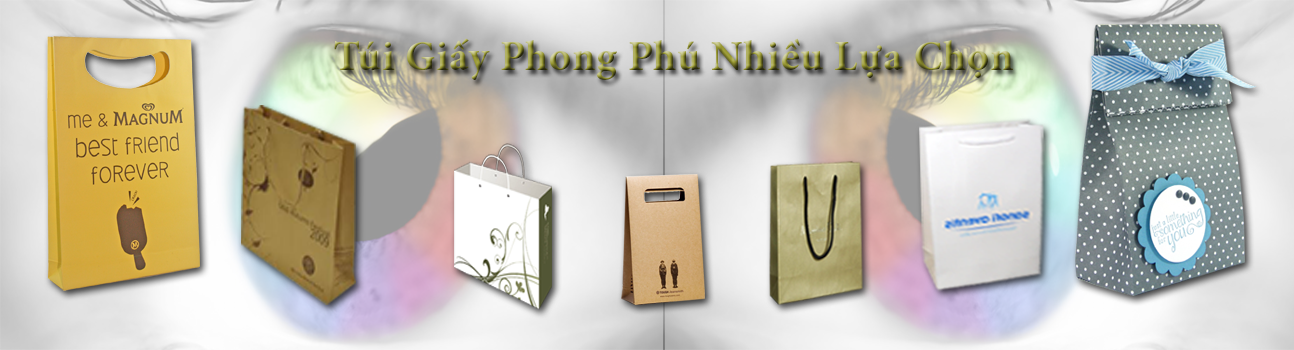 Tui-giay-Phong-Phu-Nhieu-Lua-Chon